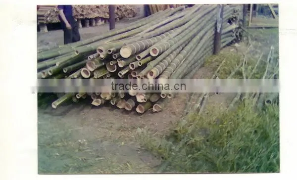 New style artificial bamboo plant/fake evergreen bamboo for decoration
