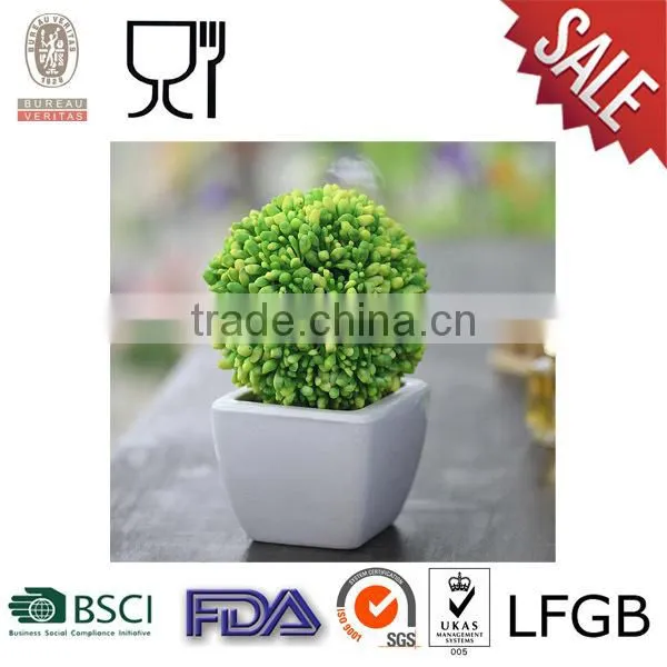 Plastic Square Flower Pot with white color