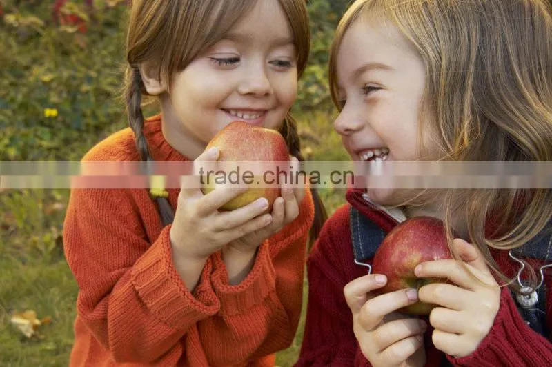 Apple peeler /fruit peeler
