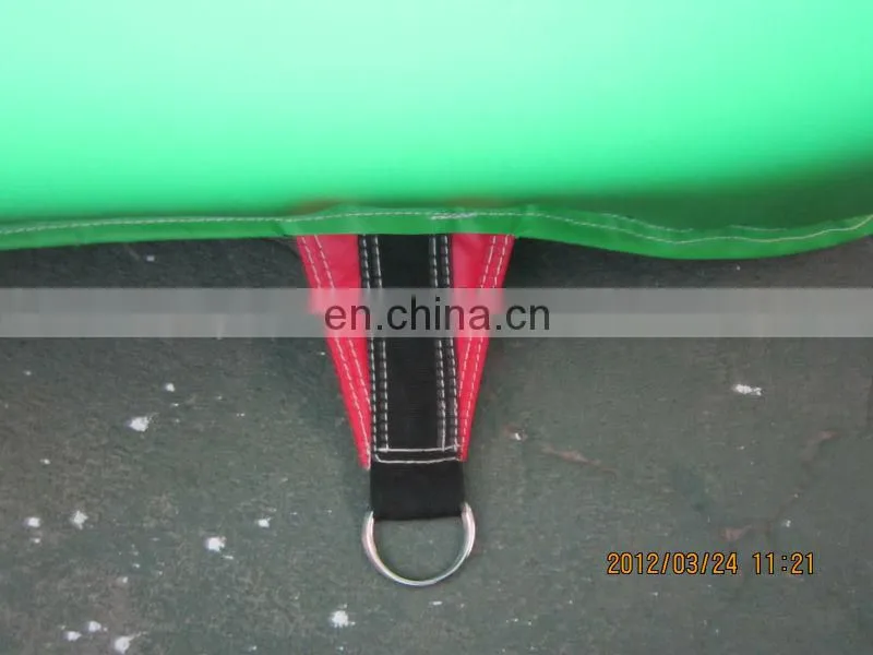 Newly Designed inflatable bouncer for kids playing
