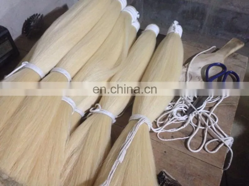 HORSE tail hair for brush