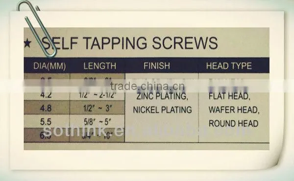 wafer head self tapping screw(high quality)