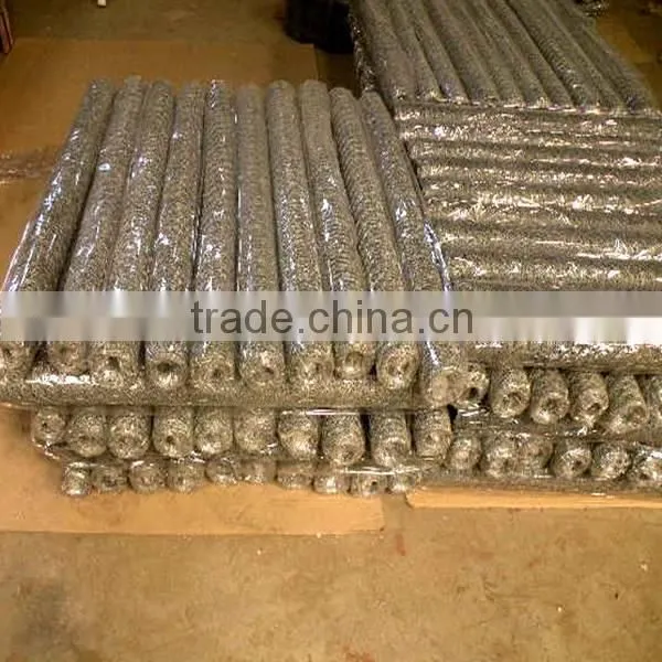 1 Inch Galvanized Welded Wire Mesh