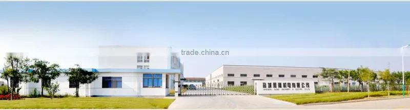 GASOLINE WATER PUMP (BIG PUMP)