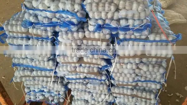 Red garlic with lowest price 2016