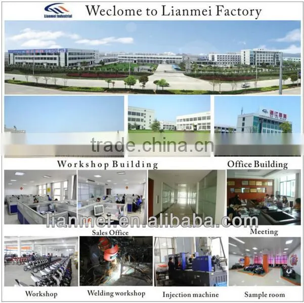 hot selling in USA 2 smart wheel scooter balance board from lianmei factory
