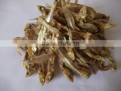 Chrysanthemum microwave drying equipment