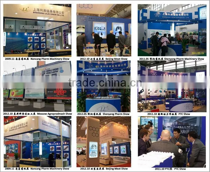 flexible chains case chain conveyor chain