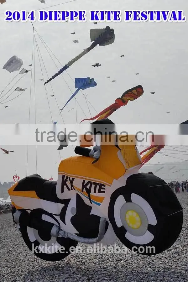 Durable Ripstop Nylon 3D Inflatable kite
