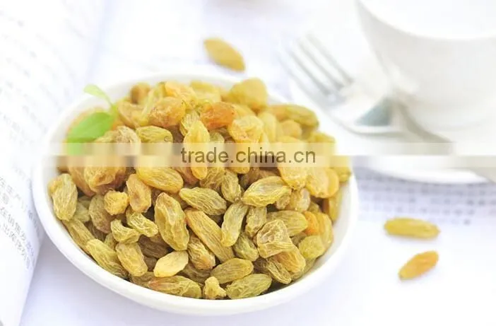 hot sell dried sultana raisin seedless grape