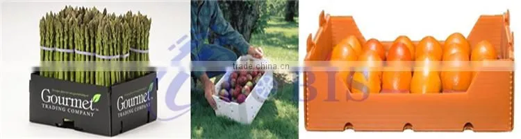 Corrugated 4x8 Sheet Plastic Sheet