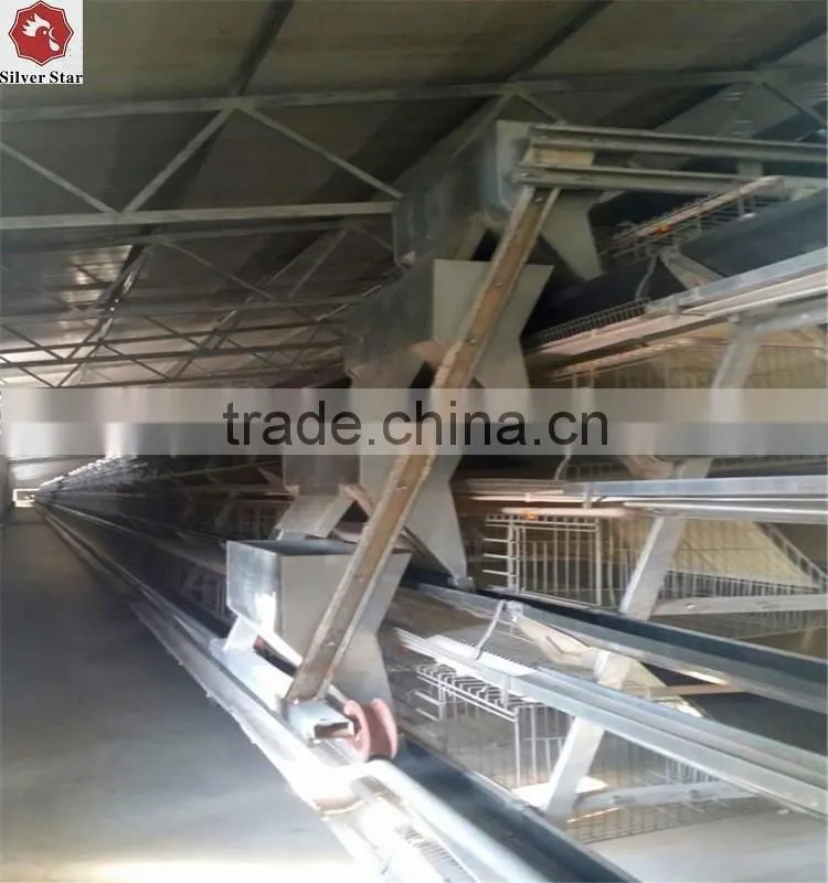 Silver Star Patent Egg Collection Equipments Useful For Layer Sheds Cages System