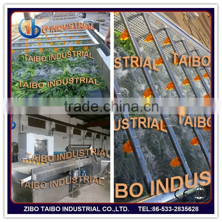 Professional manufacturer: industrial fruit washing machine for persimmons