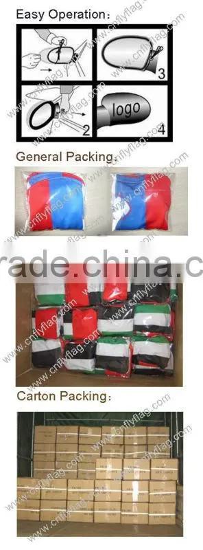 Bottom price new products Singapore car mirror flags