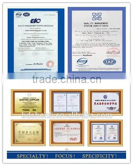Alloy steel/carbon steel lifting hoist 80G European type connecting link