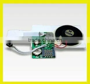 pre-recorded sound module