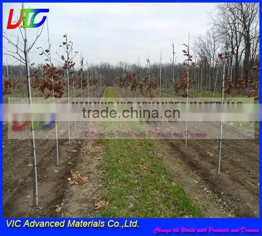 Fiberglass Garden Plant Support,Corrosion Resistant FRP Tree Stake,High Strength,Reasable Prices