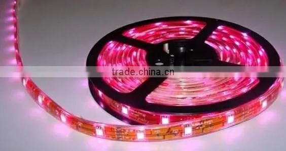 12V/24v 3528SMD 4.8W 5M CE Standard red color IP65 LED Strips
