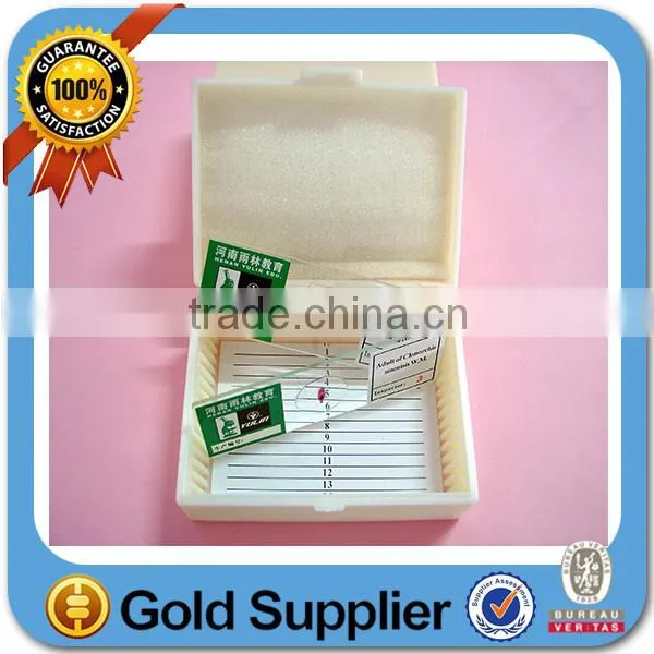 Microscope Glass Slide and Coverslip