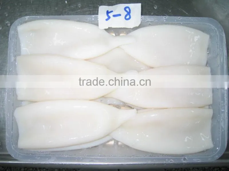 squid tube U5 Illex Argentinus tube and tentacles