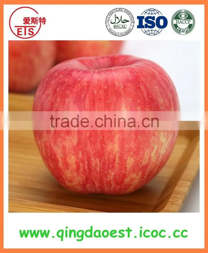 High quality shandong bulk blanched peanut kernels with raw flavor for