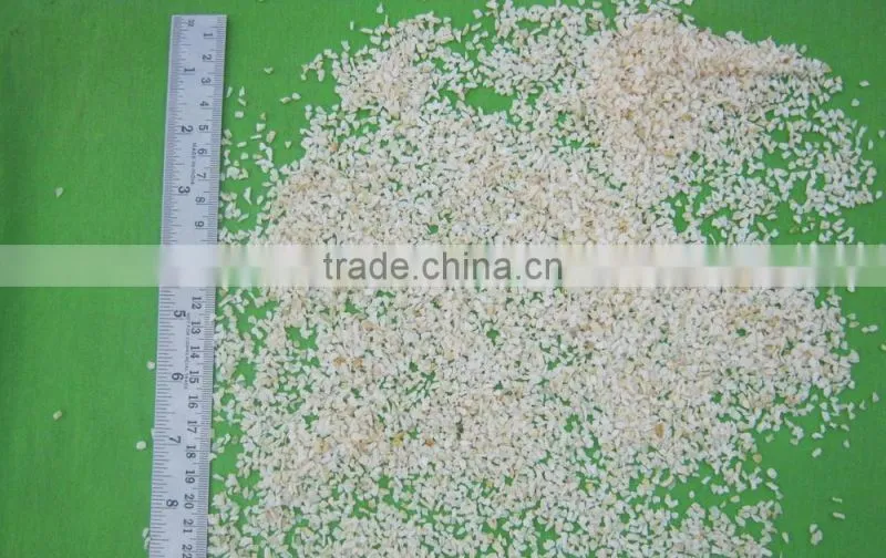 Dried White Onion Minced