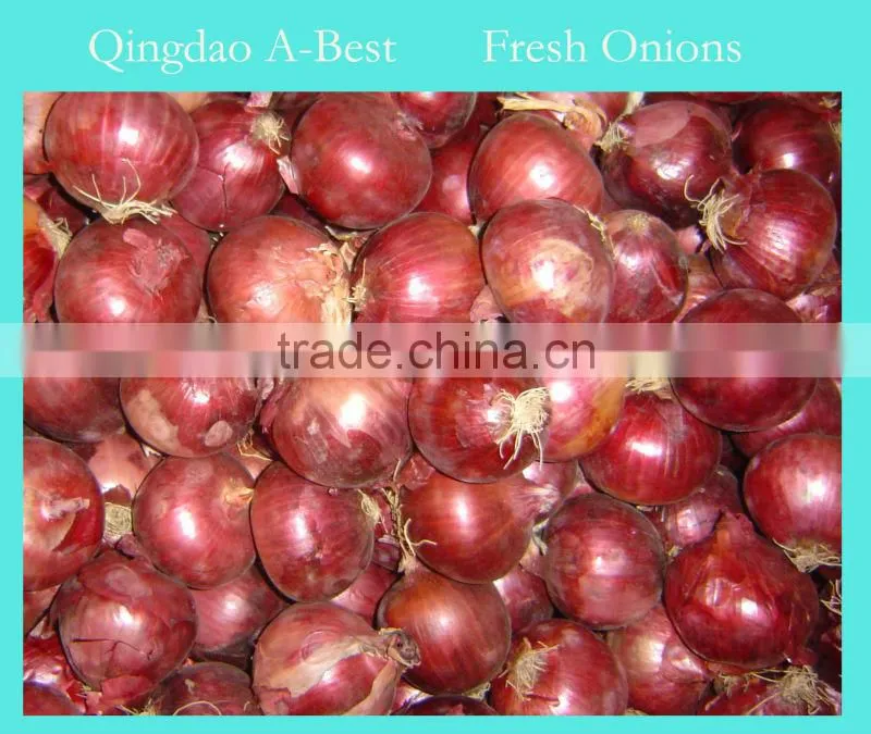 Fres Onion