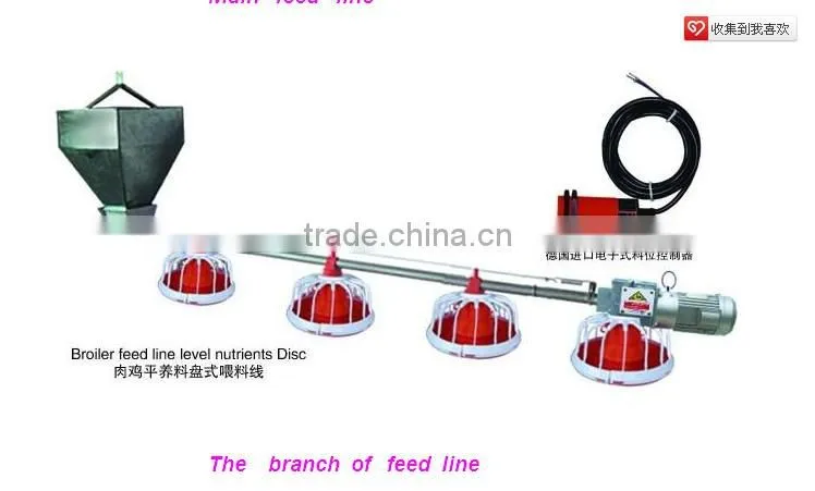 feeding line for poultry