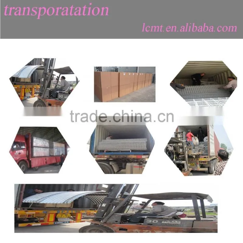 Breeder Chicken Chain Feeding System