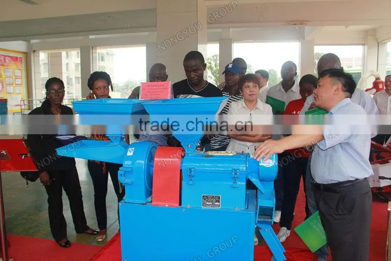 Mini Wheat Grinder Machine Factory Supply Hand Grain Mill Machine Corn Flour Mill 6NF-2.2