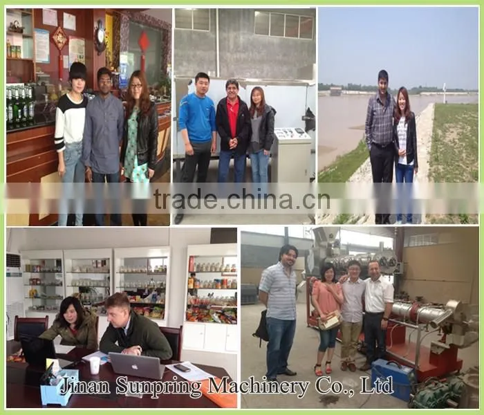 Hot Sale Twin Screw Artificial RIce Machine, Instant Rice Production Line With Best Price In China