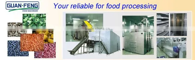 Quick freezing machine for seafood fish fillet spiral fridge freezer
