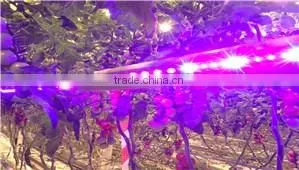 best selling led grow light bar 150w for greenhosue cucumber tomato factory price plant lighting tube
