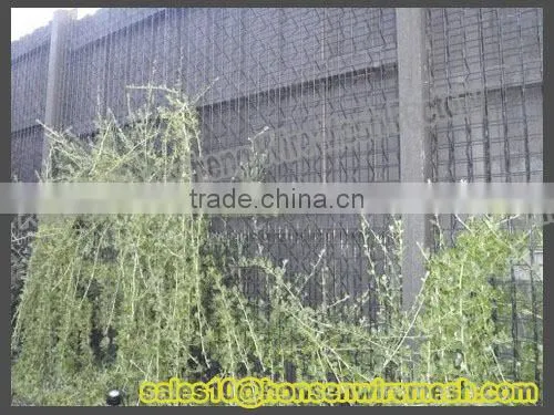 2015 china factory direct sales !! used Climber trellis mesh for sales