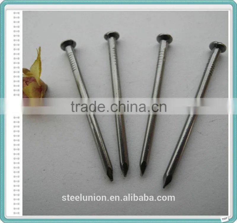 Factory Common Wire Nail/Common Nail for Construction/Common Nail