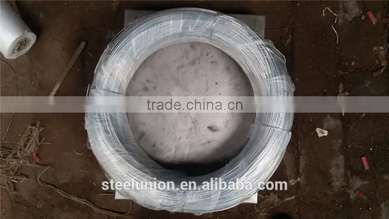 Cheap Price Electro Galvanized Binding Wire/Galvanized Iron Wire