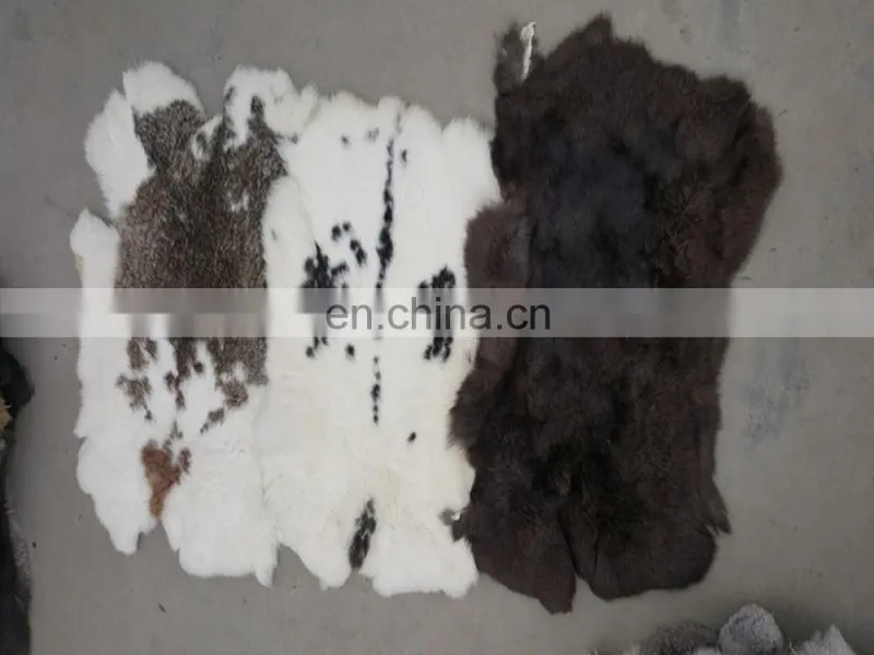 Online wholesale shop Rabbit Fur Skins and rabbit skins for plate, for Garment