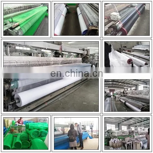 Anti insect net/Insect net/agricultural insect net