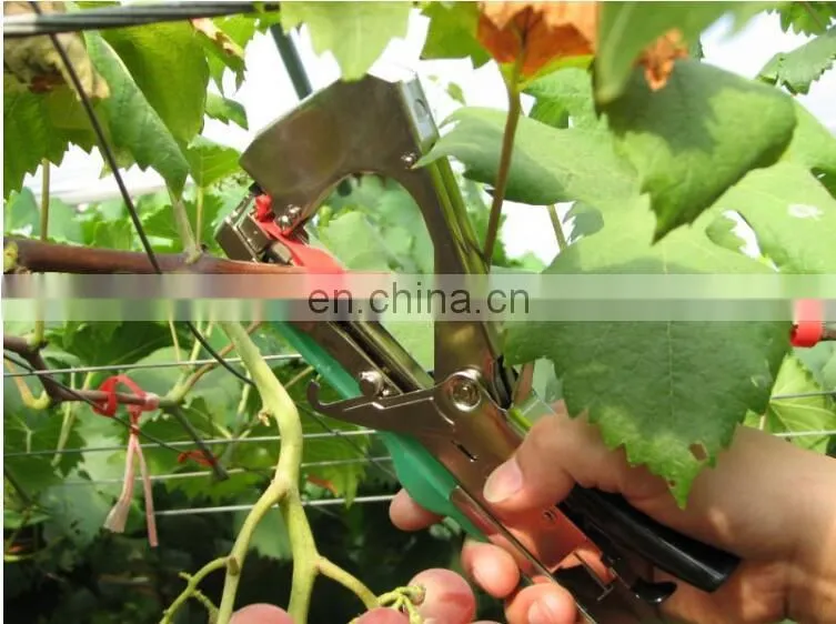 Reliable Small kiwi tapetool with factory price