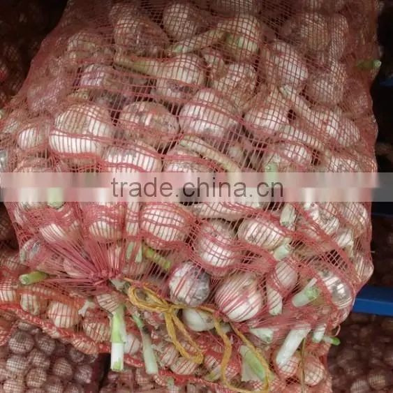 2016 new garlic fresh garlic Jinxiang garlic for export