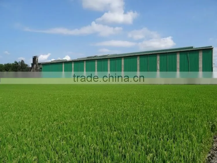 Vietnam Japonica Rice (Calrose Rice)