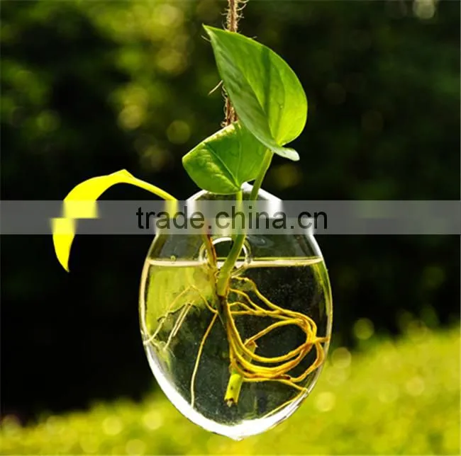 hanging glass flower water vase glass terrariums wholesale