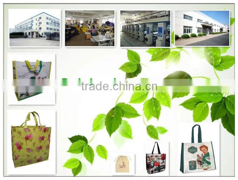 2016 custom pet shop bags