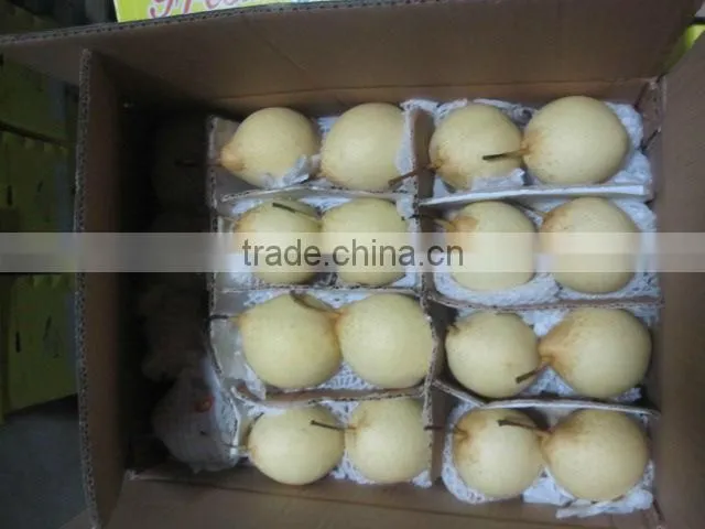 china new crop fresh ya pear
