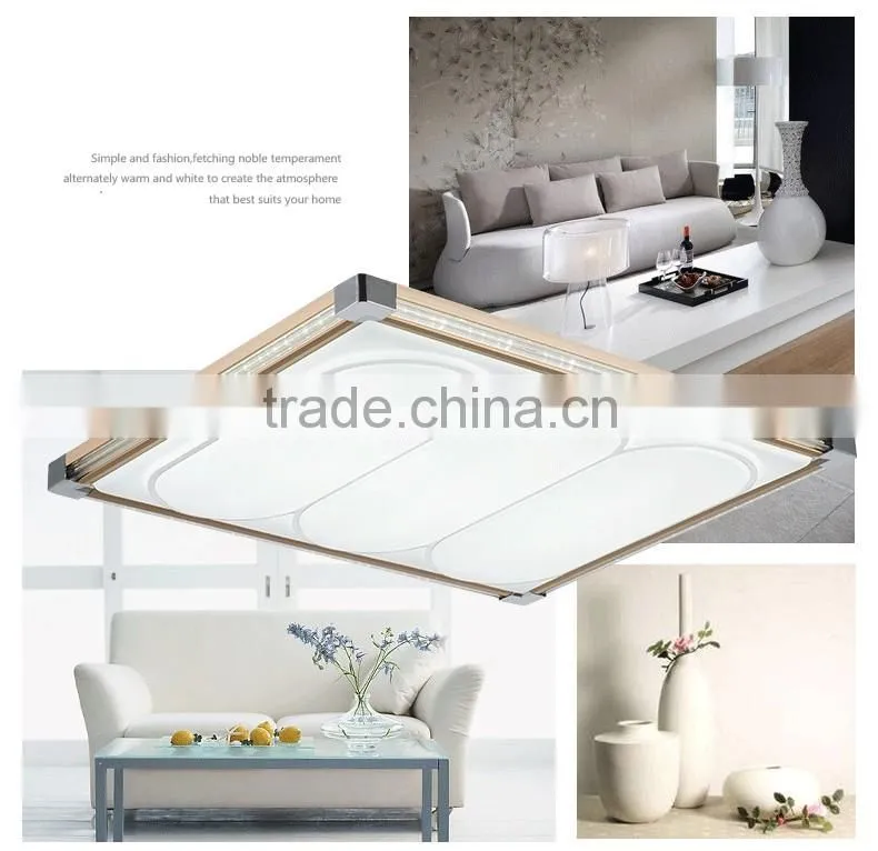 lighting ceiling lamp ceiling light Acrylic transparent cover