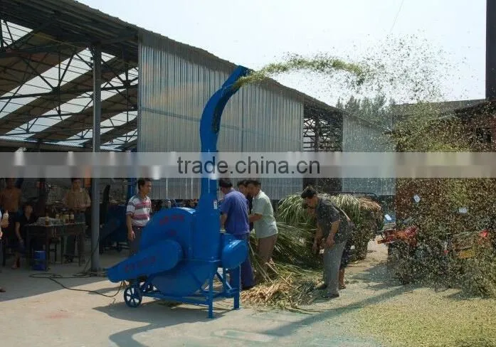 Cattle/sheep feed chaff cutter for hay