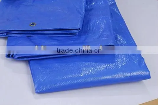 Blue Flame Retardant PE Tarpaulin With Grommet