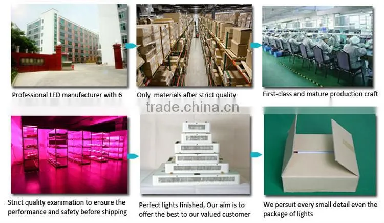 200W LED Grow Light for Greenhouse 300 watt led grow light