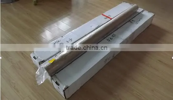 popular holographic effect tranaparent rear projection screen film