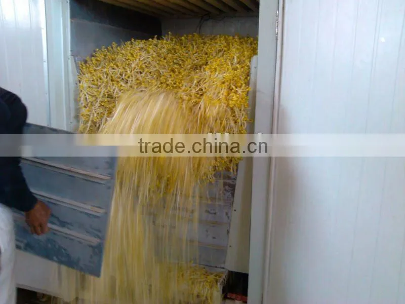 Fully Autmatic Bean Sprout Machine(CE)